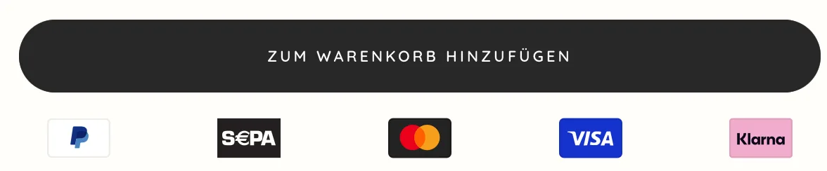 Kaufbutton mit Zahlungslogos von PayPal, SEPA, Mastercard, Visa und Klarna darunter